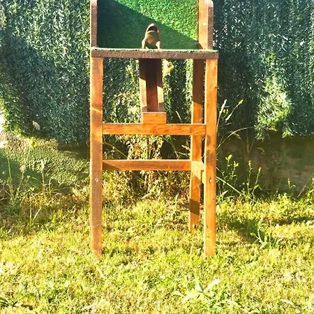 Bonito Bajo Con Jardin Apartman